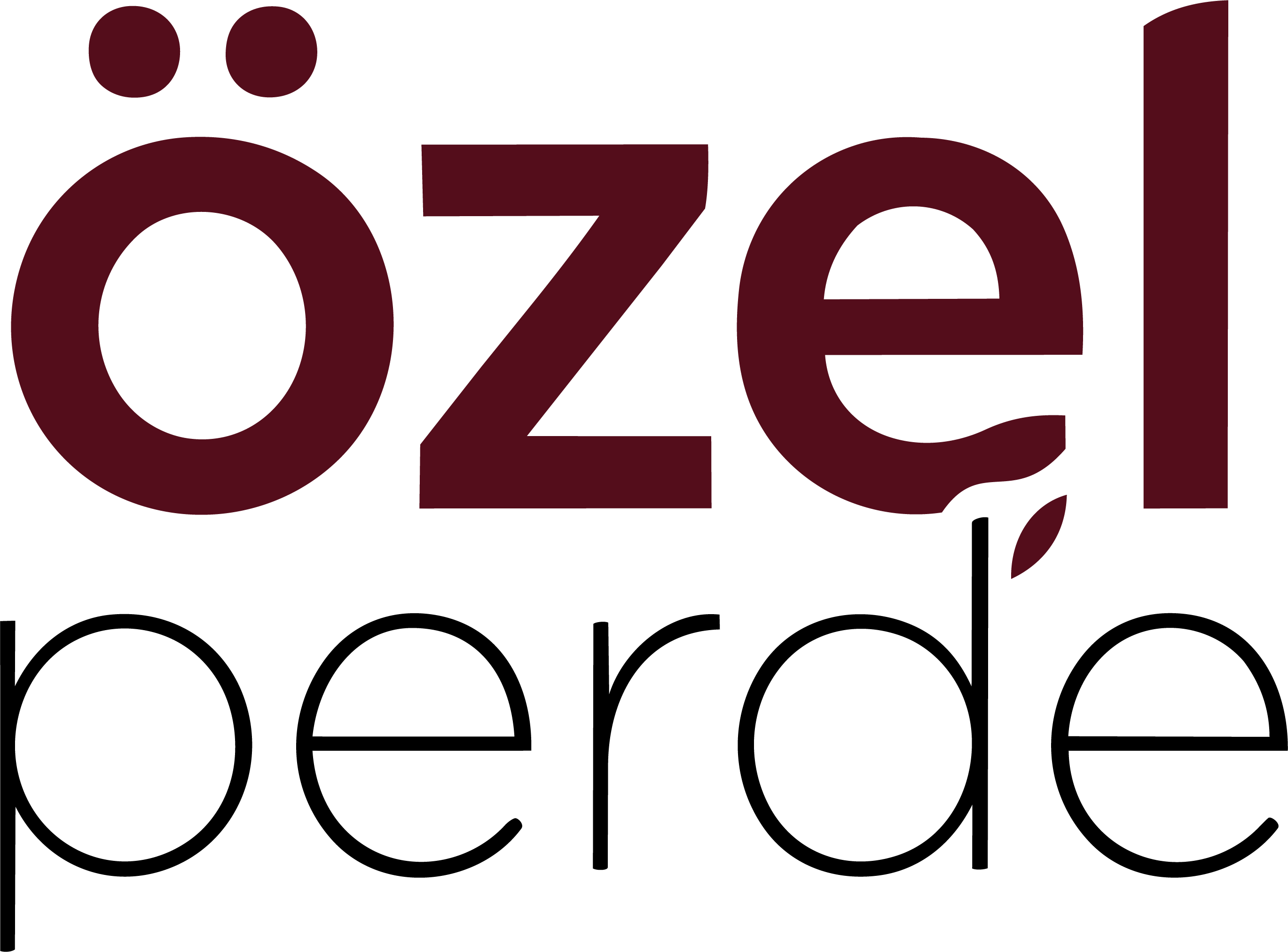 Özel Perde Logo